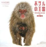 おサルの王国  地獄谷野猿公苑の四季
