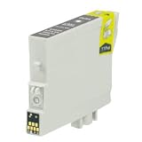T059720 Compatible Inkjet Cartridge Light Black for Epson Stylus Photo R2400 Printer