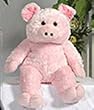 15" Pig Make Your Own *NO SEW* Stuffed Animal Kit w/T-shirt