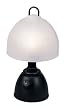 Camping Lamp, 12 volt/110Volt Camping Lamp
