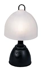 Camping Lamp, 12 volt/110Volt Camping Lamp