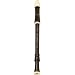 Aulos Tenor Recorder Baroque/English A211A