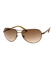 Aviator Sunglasses: Brushed Bronze-Light Brown Brown Gradient by Calvin Klein