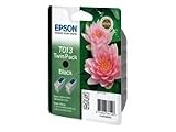 Epson Inkjet Cartridge Black Twin Pack T013402