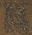 Sporting Goods : Chain Net