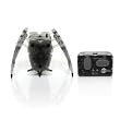 Hexbug Inchworm Black
