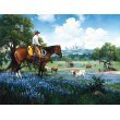 Jack Sorenson The Texans 1000Pc Jigsaw Puzzle