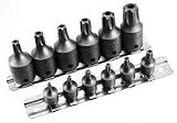 Heavy-Duty 13-Piece Tamper-Proof TORX Star Socket Set - 1/4 & 3/8 Drive - T-10 Thru T-60