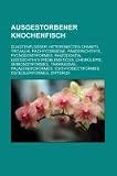 Ausgestorbener Knochenfisch: Quastenflosser, Heteronectes chaneti, Tiktaalik, Pachycormidae, Panderichthys, Pycnodontiformes, Rhizodontia (German Edition)
