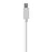 Belkin Mini Display Port auf Mini Display Port Kabel,�1,5 m
