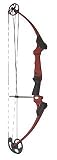 GenesisOriginal Bow Red Bow Only Perfect for Schools Clubs Organizations- Left / Right Handed