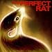 Perfect Rat - Endangered Languages Cd