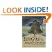 Fergus and the Night-Demon