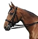 Passier Vienna bridle - Large (full) black