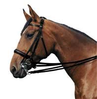 Passier Vienna bridle - Large (full) black