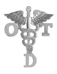 NursingPin - Doctor of Occupational Therapy OTD Diamond Graduation Pin in Silver