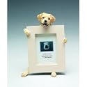 Labrador, Yellow (2 1/2x3 1/2) Small Picture Frame