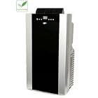 Buy Whynter ARC-14S Dual Hose Portable Air Conditioner (14,000 BTU)