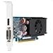 NVIDIA GeForce 310 DP - Graphics adapter - GF 310 - PCI Express x16 low profile - 512 MB DDR3 - DVI, DisplayPort ( HDCP )