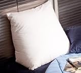 Wedge Reading/TV Watching Pillow