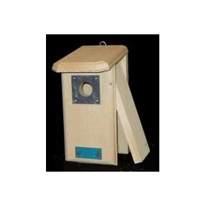 Backyard Birdhouse by 