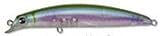 アムズデザイン(ima) sasuke105 #SKF105-022 カタクチゴースト