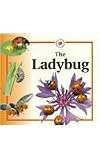 The Ladybug (Life Cycles)
