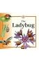 The Ladybug (Life Cycles)