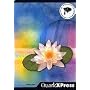 QuarkXPress 6.5 ���{��� for Windows �w���E������