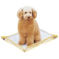 おでかけ犬トイレ　レギュラーサイズ