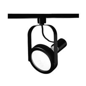 Hubbell Lighting Par38 Gimbal Ring/whte Track Fixtures