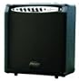 Kona 50 Watt Bass/Keyboard Amp with 12 Speaker "