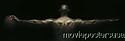 Michael Jordan Wings - 2005 Tattoo Edition Life-Size Wall Poster (20th Anniversary)