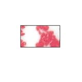 Sabre Toile Red Dessert Spoon - 7 1/2 in./TOILE8FR