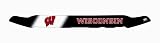 EGR 303150WI Wisconsin Badgers Collegiate Shield
