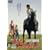 ꡂ��Ȃ�R�̌Ăѐ� [DVD]