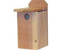 Blue Bird House Traditional