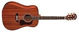 Washburn WD18SW Acoustic Guitar