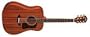 Washburn WD18SW Acoustic Guitar with Gigbag (All Solid Wood Mahogany)