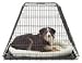 Double door car cage ex. Large