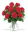 Red Carnations