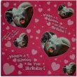 Gift Wrap - Hog and Kisses On Your Birthday