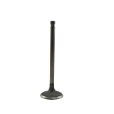 Auto7 612-0044 Intake Valve by Auto7