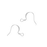 SilverPlatedFishhooksEarringHooks(50)