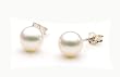 Freshwater Cultured Pearl Earrings 7-7.5mm White Pearls with Silver Mount