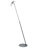 IMAGE OF Lite Source LS-8401SS/FRO Primm Floor Lamp, Satin Steel