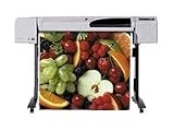 HP DesignJet 500 Plus - 24 imprimante grand format - couleur - jet d encre - Rouleau A1 (61,0 cm x 45,7 m), 610 x 1897 mm - 1200 ppp x 600 ppp jusqu à 7.9 m2/heure (couleur) - parallèle, USB