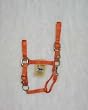 Hamilton Deluxe 1" Nylon Horse Halter with Adjustable Chin and Snap, Mango, Average (800-1100 lbs)