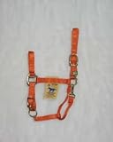 Hamilton Halter Company 8-11 1 Adj Chin Halter W Snap Mango Average - 1DAS AVMA