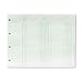 Wilson Jones GN2B Green Double Entry Ledger Forms, Both Sides Alike, 9-1/4X11-7/8, 100/Pack